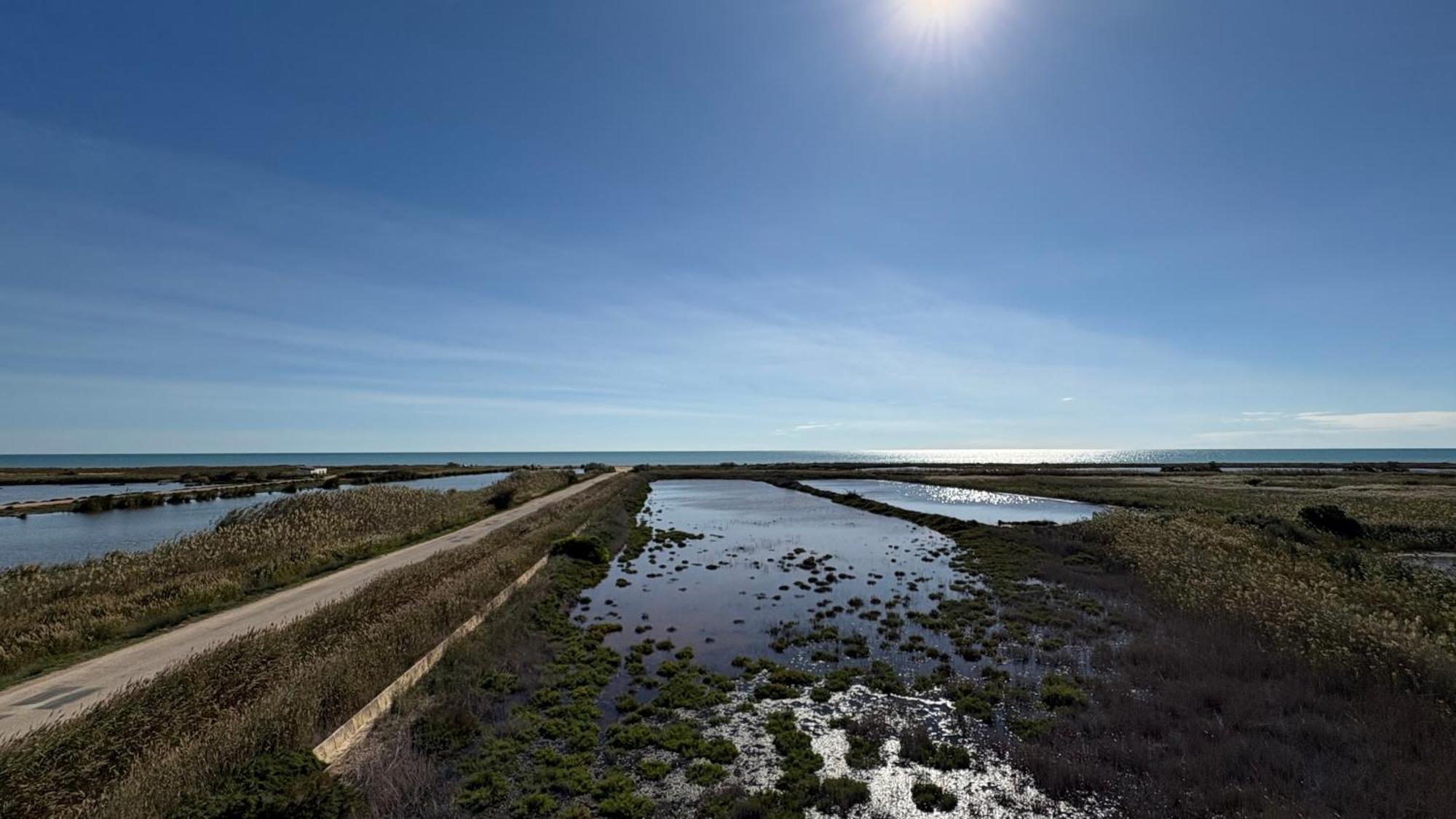 Vibra Delta Lägenhet Sant Jaume d'Enveja Exteriör bild
