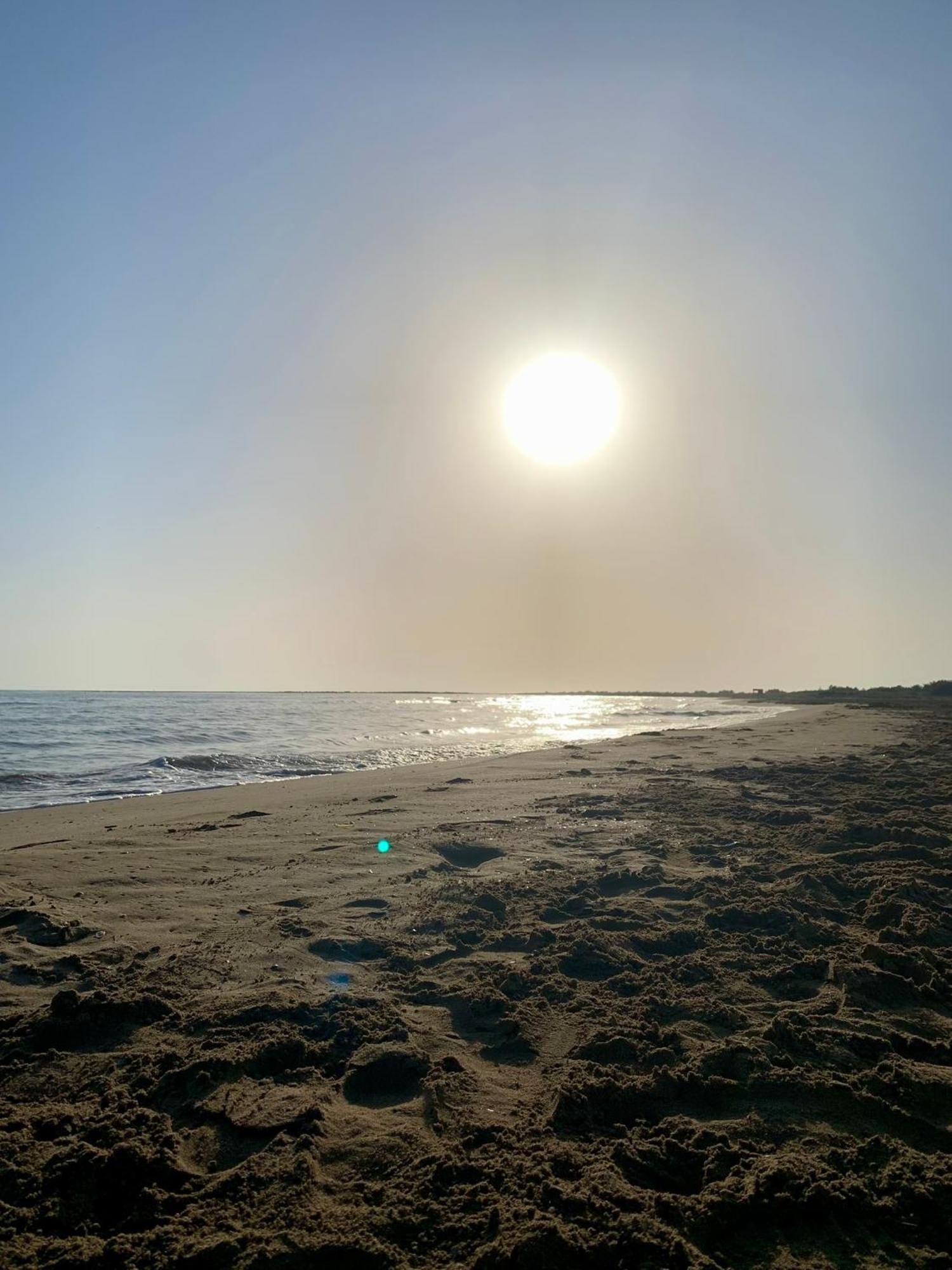 Vibra Delta Lägenhet Sant Jaume d'Enveja Exteriör bild